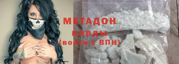 гидра Елизово