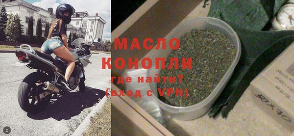 гидра Елизово
