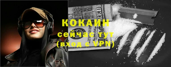 кокс Ельня