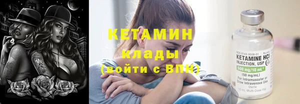 гидра Елизово