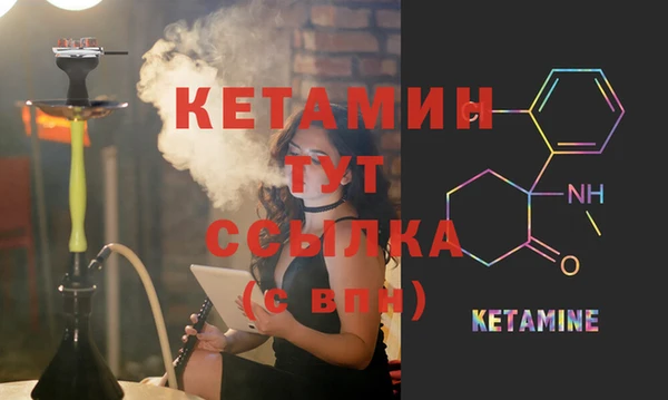 гидра Елизово