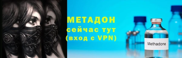 гидра Елизово