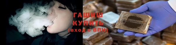 гидра Елизово