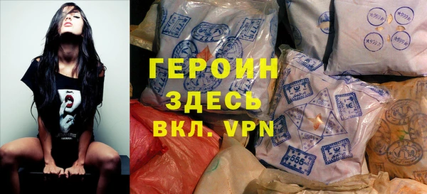 гидра Елизово