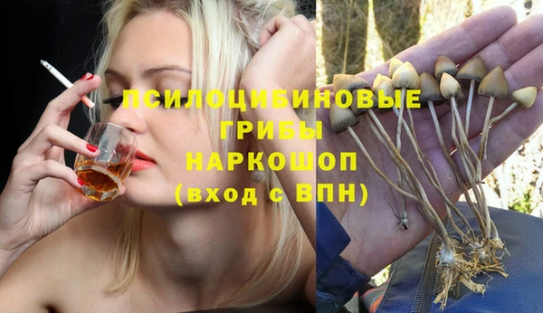 гидра Елизово