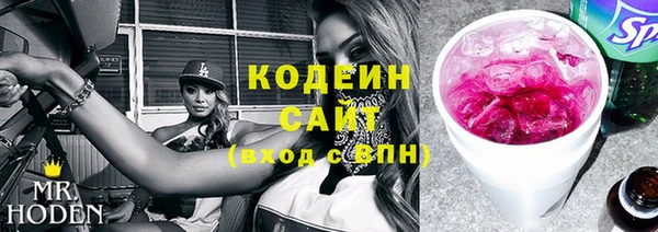 гидра Елизово