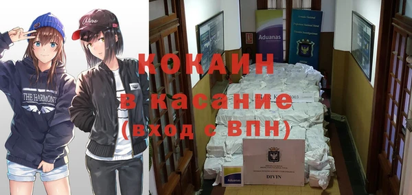 кокс Ельня