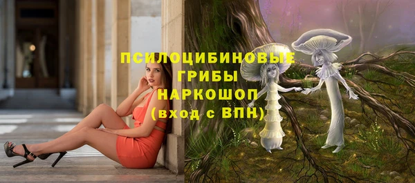 кокс Ельня