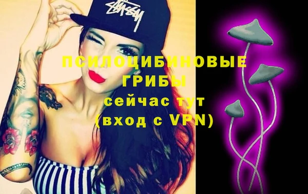 кокс Ельня