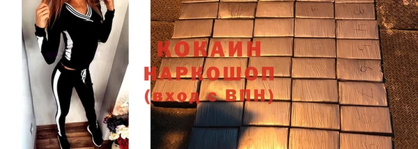гидра Елизово