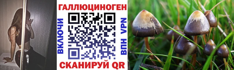 даркнет сайт  Задонск  Галлюциногенные грибы GOLDEN TEACHER 